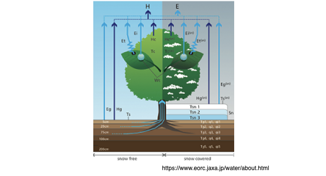 Land Surface Modeling